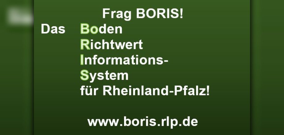 Boris Rheinland-Pfalz
