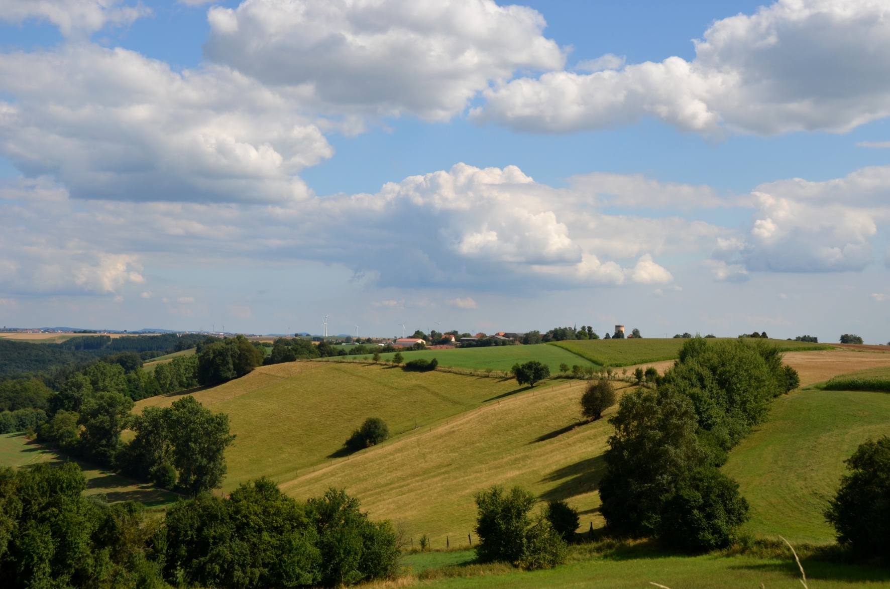Langwieden Windschutzhecke Hügel mit Wiesen und Bäume, die eine Windschutzhecke bilden, Im Hintergrund ein Dorf.