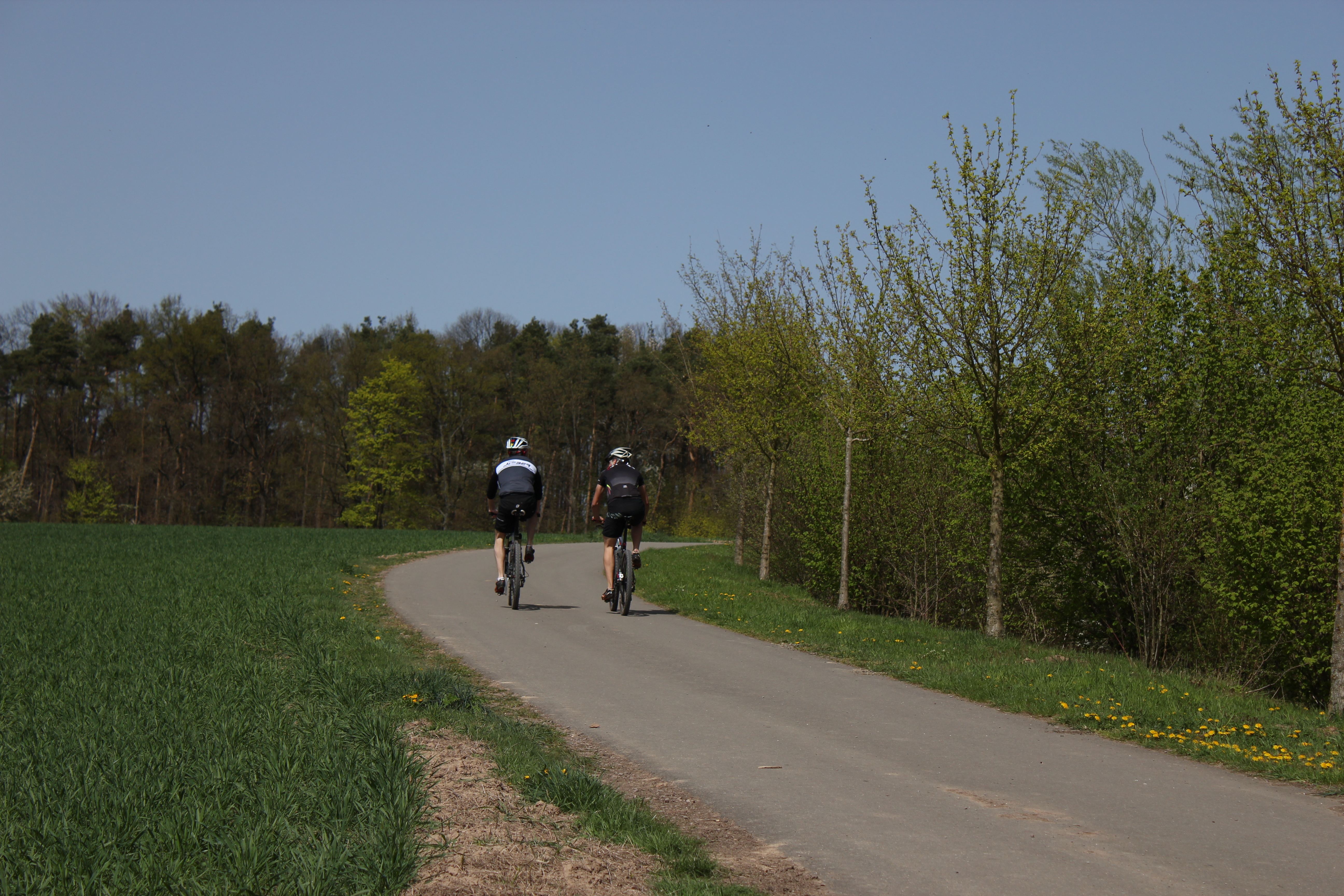 Radfahrer Zwei Radfahrer auf einem Feldweg. Links von ihnen ein Feld und rechts von ihnen kleine Bäume.