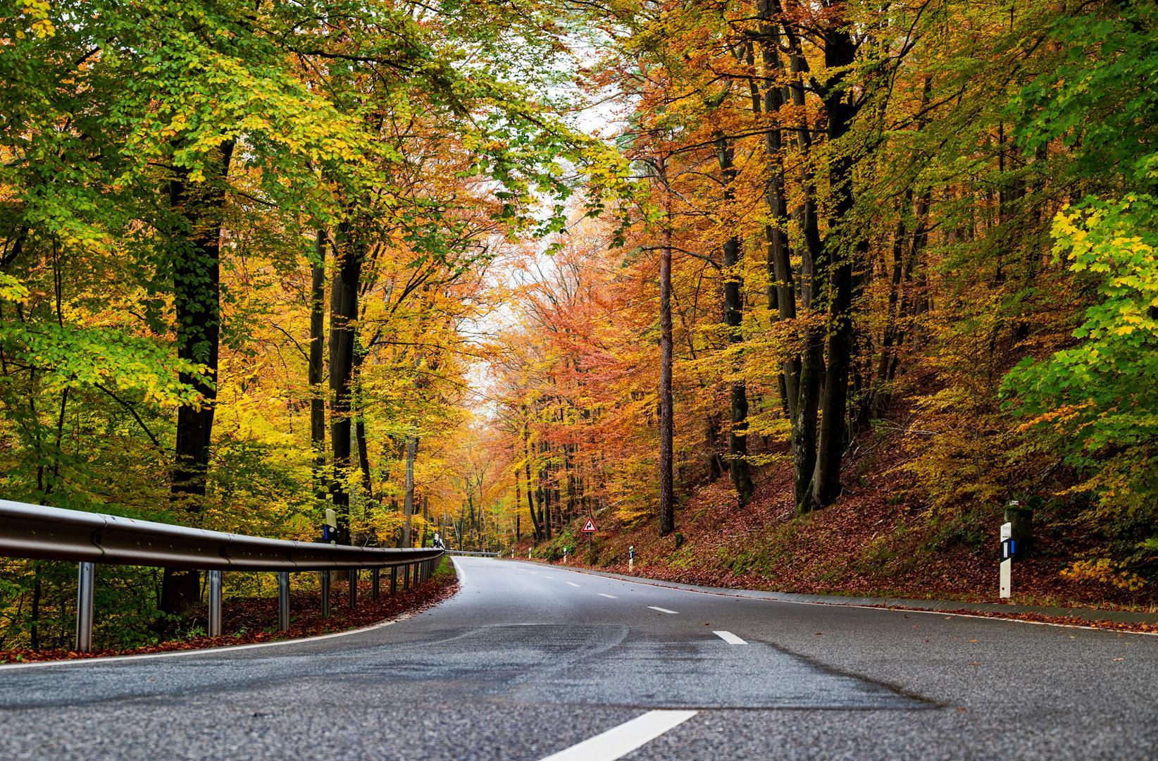 Waldstraße Straße in einem herbstlich verfärbten Wald.