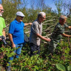 von links nach rechts: Herr König Naturschutzgruppe Moorklee, erster Beigeordneter der Verbandsgemeinde Bruchmühlbach-Miesau Herr Schneider, Prof. Dr. Bernd und Züchter Ihrig bei der Aussetzung der Laubfrösche 